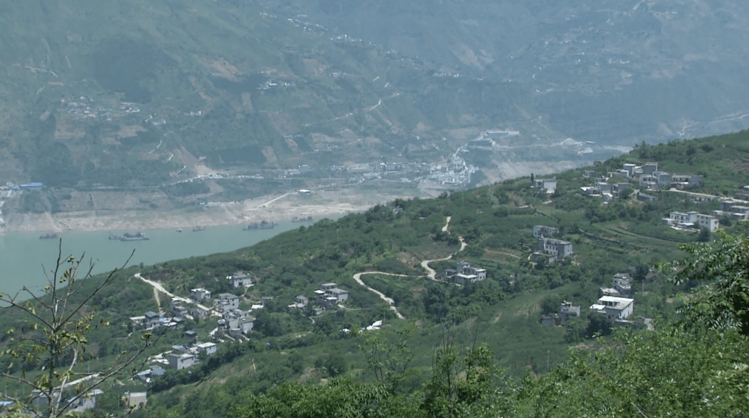 走进永善县务基镇务基社区,花椒香麻味扑鼻而来.
