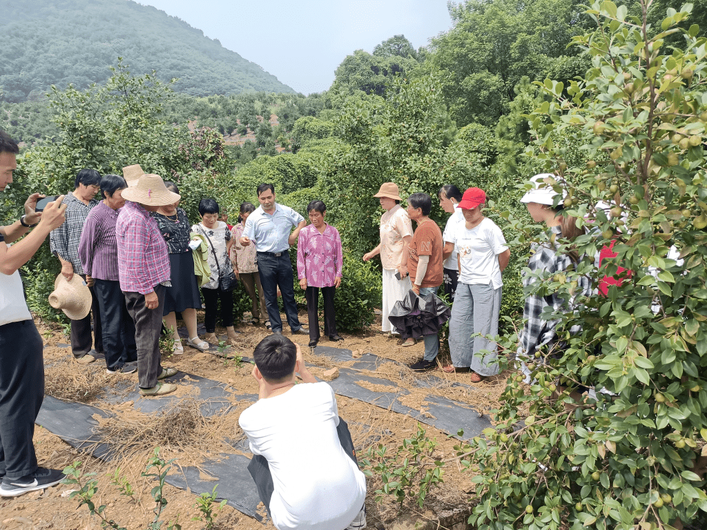 (向下滑动查看更多)肥西县宇禾水生种植农民专业合作社肥西县宇禾水生