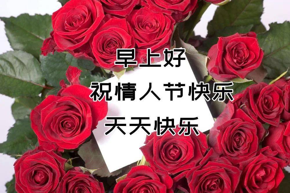 她们的名字分别叫:健康,平安,快乐!祝情人节快乐!