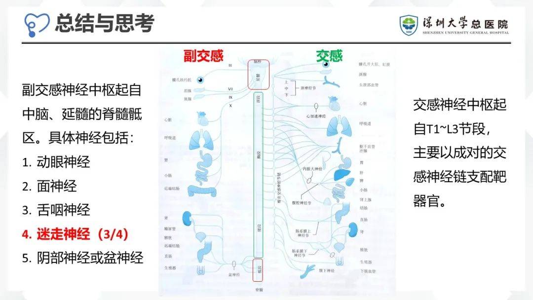 病例分享遭遇术后交感风暴发作一例