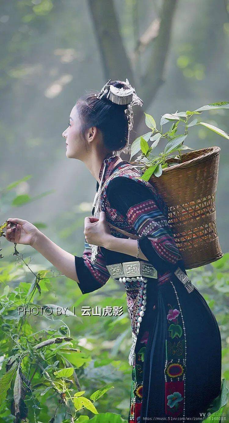 歌曲歌词高山青,涧水蓝阿里山的姑娘美如水呀阿里山的少年壮如山唉