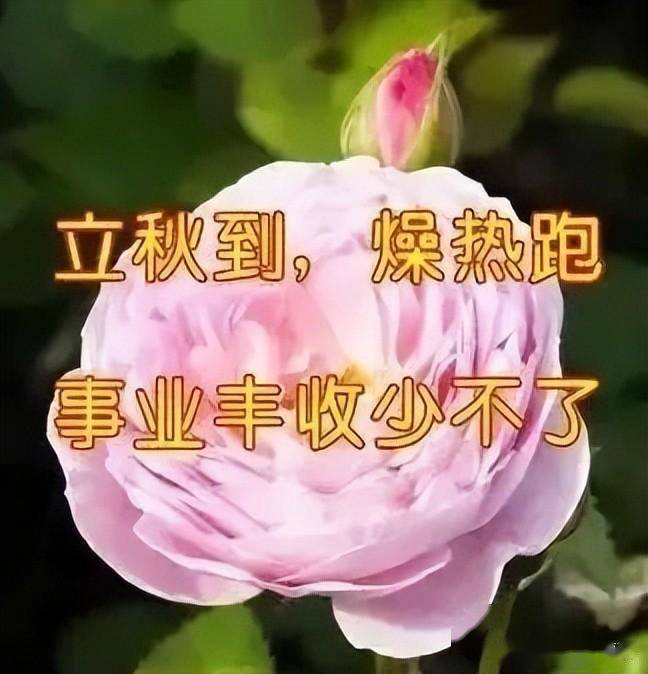立秋早安问候祝福语图片带字立秋早上好问候祝福动画表情图片精选