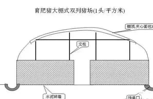 农村小型养猪场设计最低成本科学养猪简易猪栏猪舍建造图