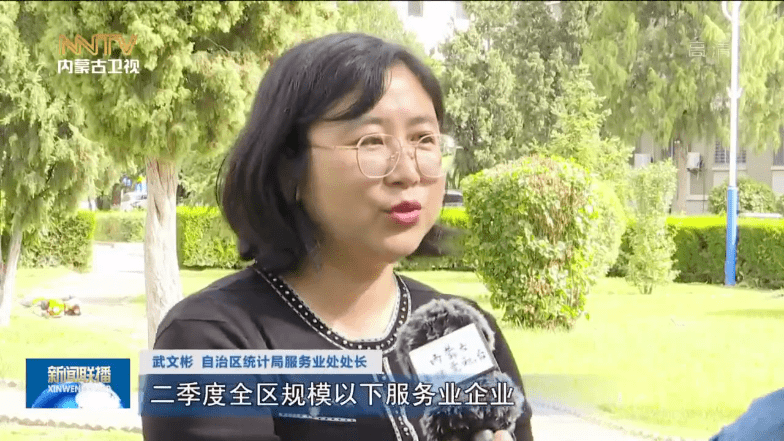 武文彬 自治区统计局服务业处处长二季度全区规模以下服务业企业"税收
