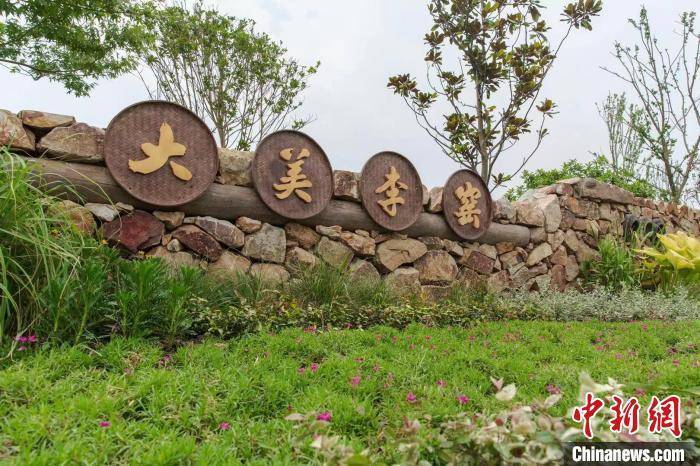 上海水乡古镇的乡村振兴之路：政策链促进生态链 盘活闲置资源