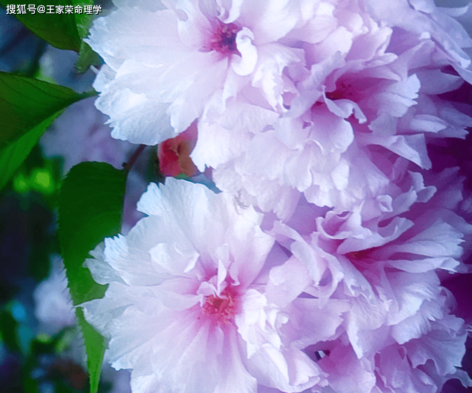 惊爆！2022年8月23日老黄历出行吉日全解析，速看