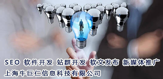 上海牛巨仁科技-技术推广-seo优化