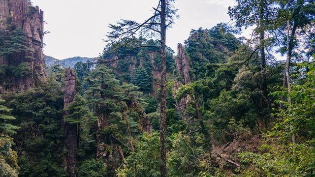 这个地方人称小家界，景色堪比黄山，当地人却很少去过