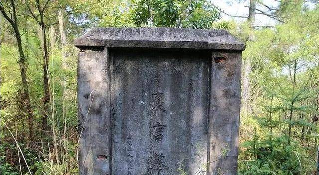 他与儿子严世蕃把控朝纲,弄得朝廷上下沆瀣一气.