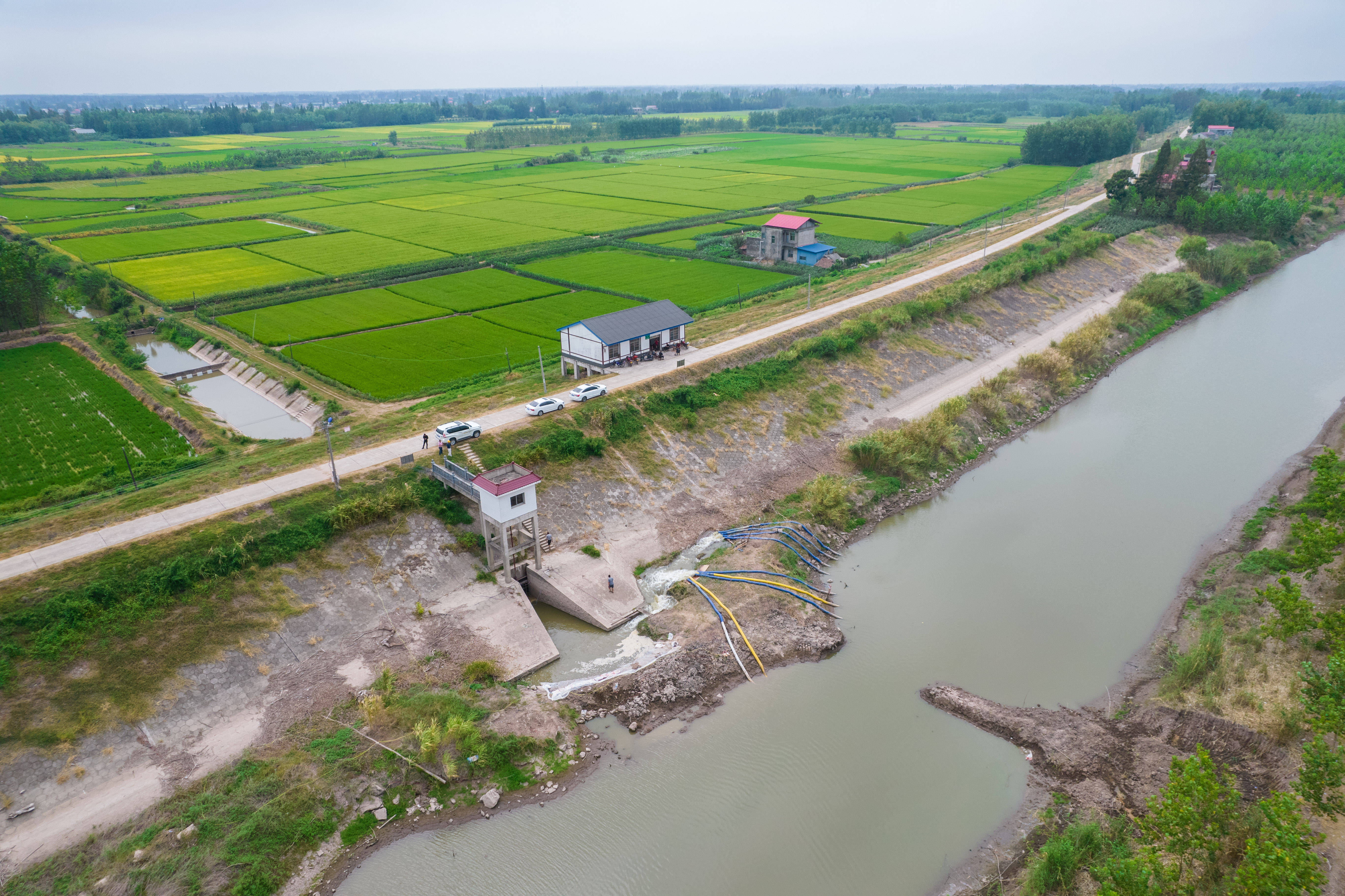 这是8月25日拍摄的湖南省常德市安乡县三岔河镇肖公咀泵站附近的景色