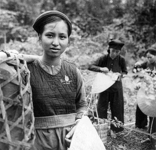 4,1954年,北越军队进入河内5,1962年,越南女英雄二征夫人塑像前"越南