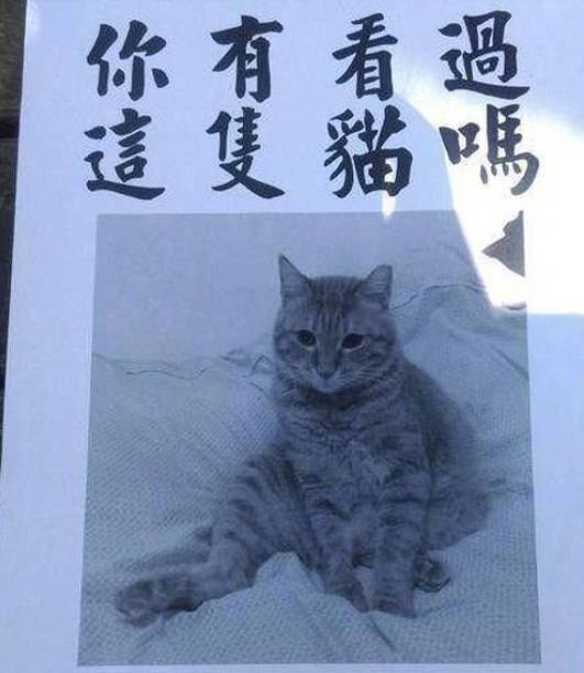 原创
你是否有一张让别人一看就笑的珍藏图?