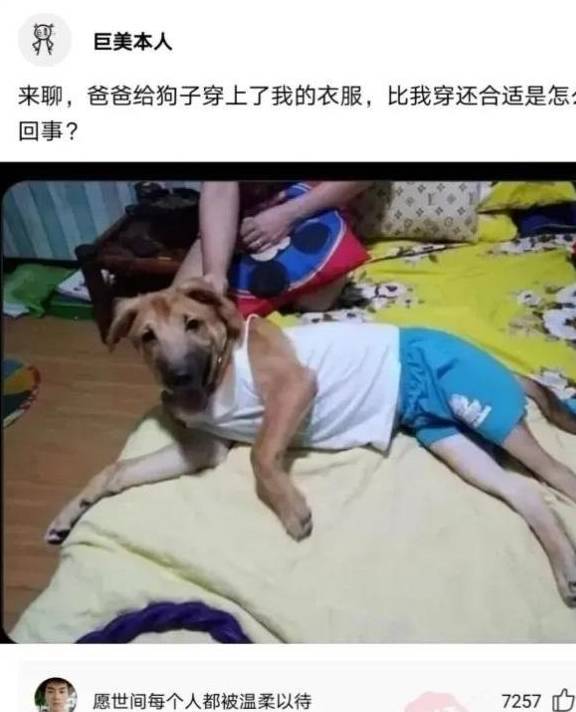 原创
搞笑神回复:年轻人要以学习为主