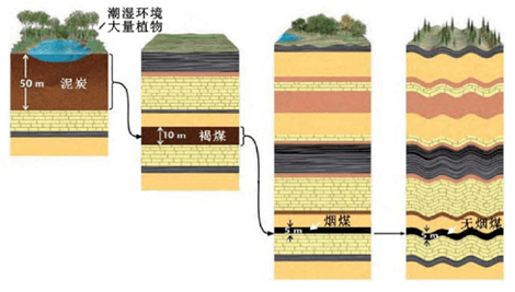 pg电子平台煤和炭的区别是什么？院士解析→(图2)