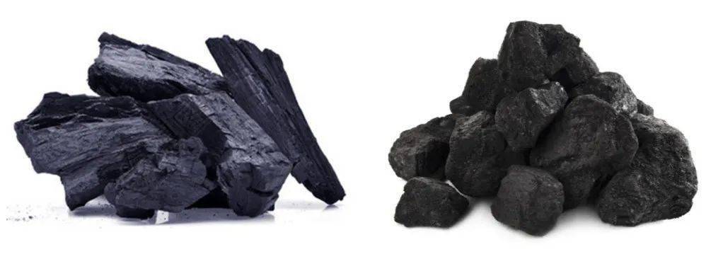 煤和米乐m6炭的区别是什么？院士解析→(图3)