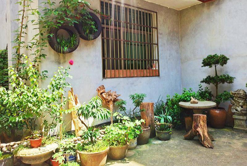 寿宁竹管垅：“美丽庭院”刷新乡村颜值