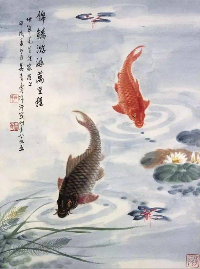 这位女子画鱼,是一绝_吴青霞_鲤鱼_父亲