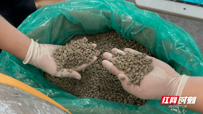 第一次！湖南口岸首次进口非洲咖啡豆