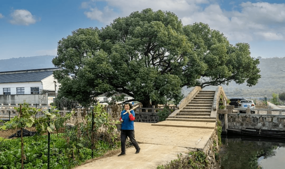 植里古村→明月湾古村→石公山，骑行苏州太湖，感受人间美好