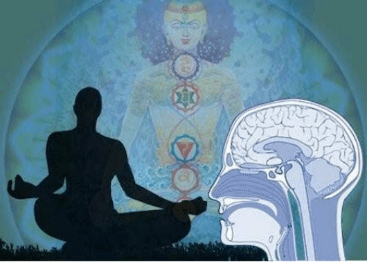 心护航|提升自我调控能力