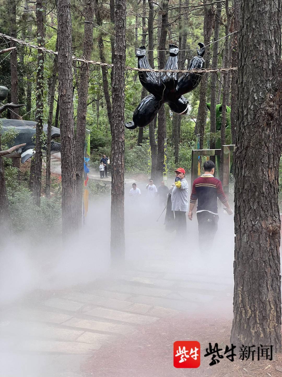 茅山森林世界新项目“魔法黑森林”开放