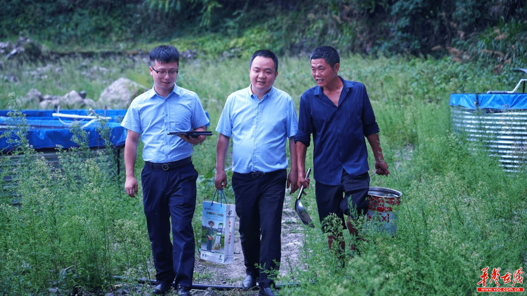 美丽乡村 向“湄”而生——邮储银行湖南省分行助力乡村振兴“湄江范本”