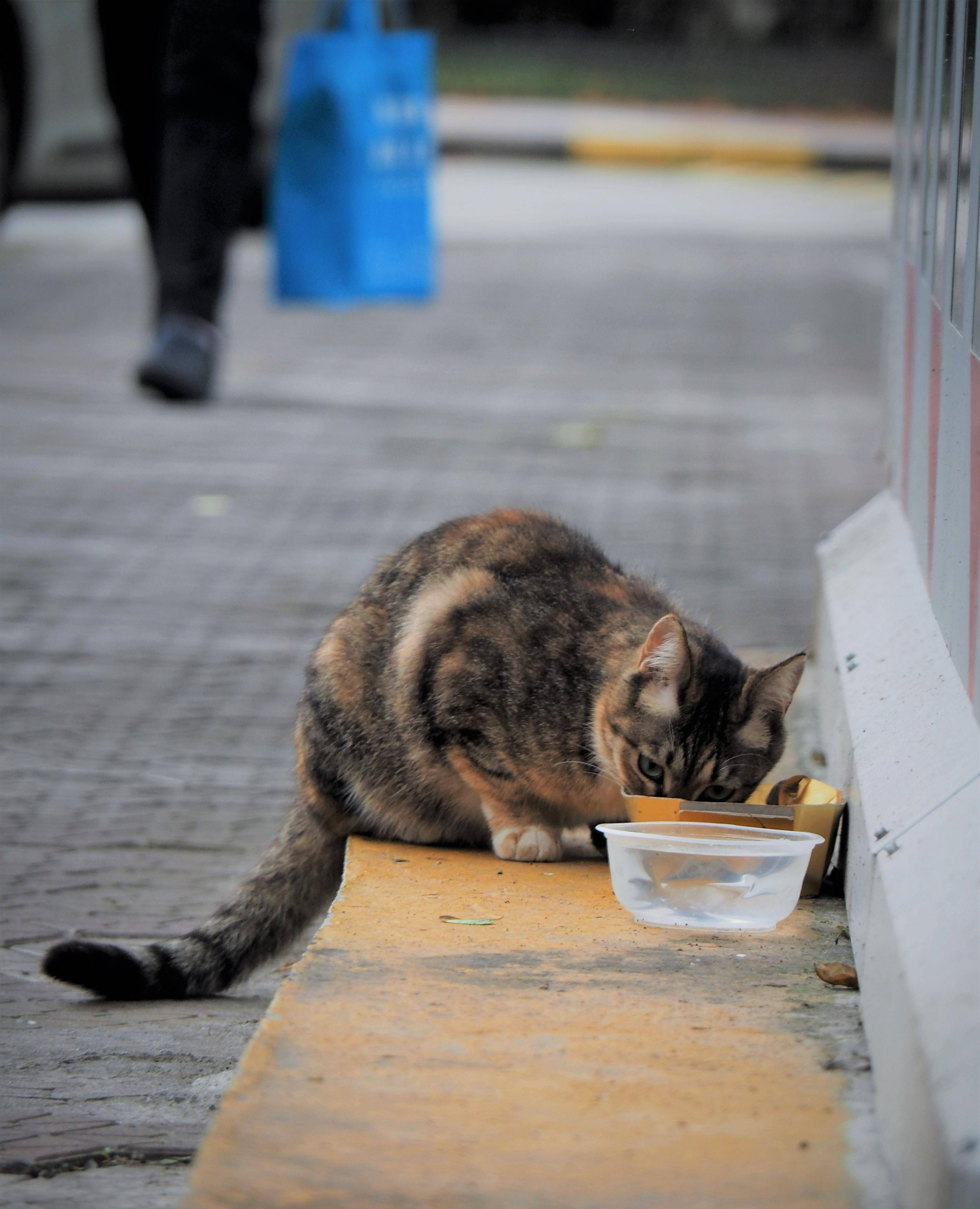 IntoImmortality-������Ⱥ����˸ʱ��