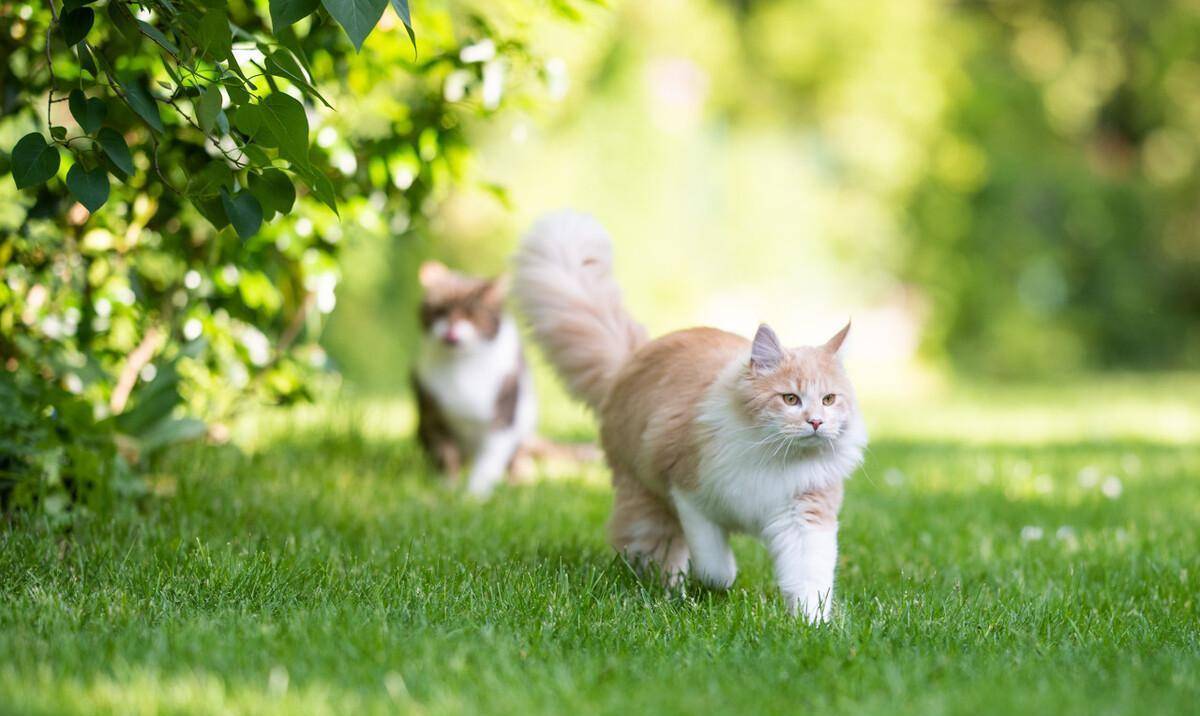 IntoImmortality-������Ⱥ����˸ʱ��