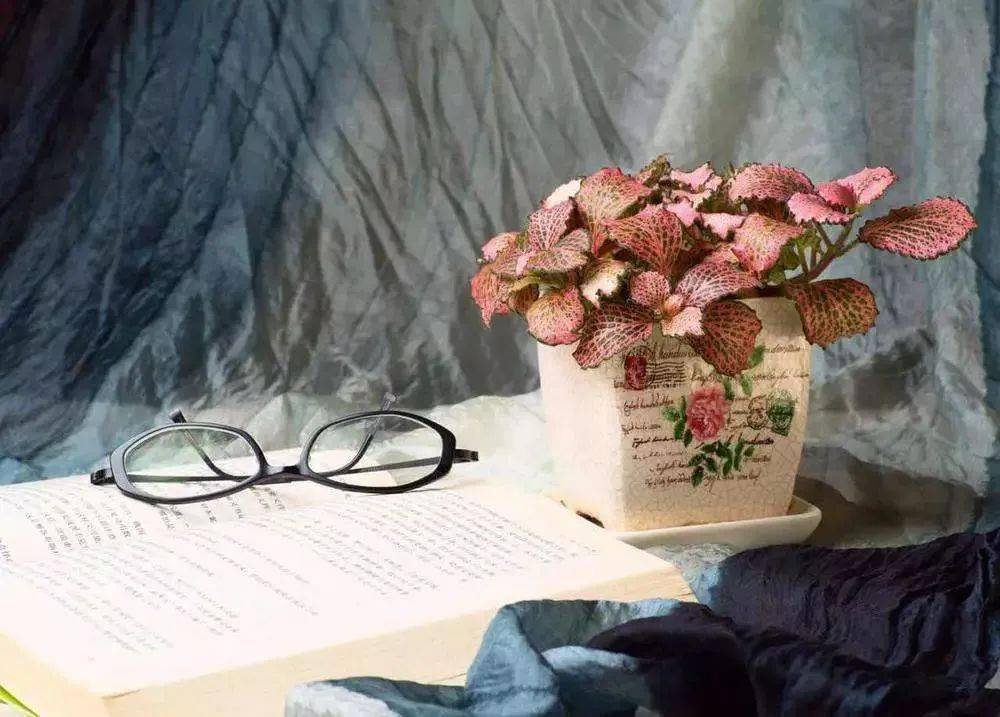 100λŵ������ѧ���޽���100����������