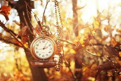 100λŵ������ѧ���޽���100����������