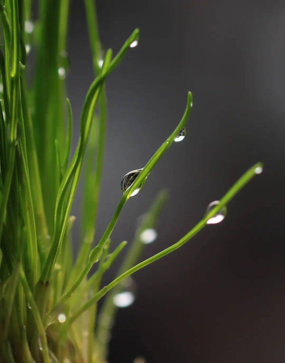 100λŵ������ѧ���޽���100����������