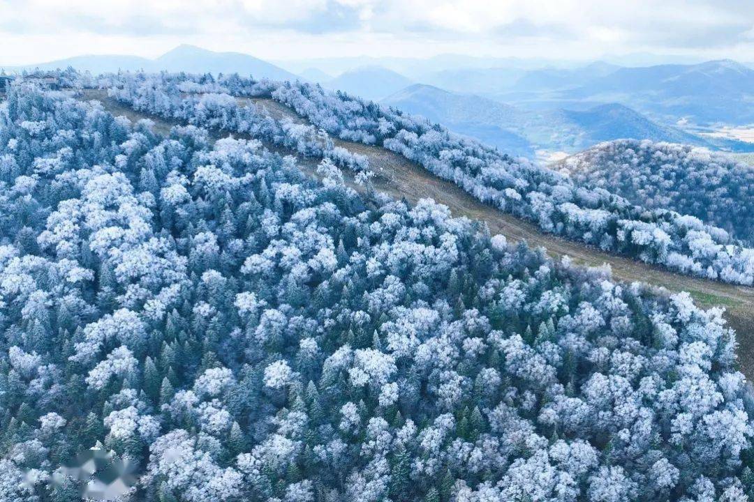 光明日报丨首场高山雾凇来了