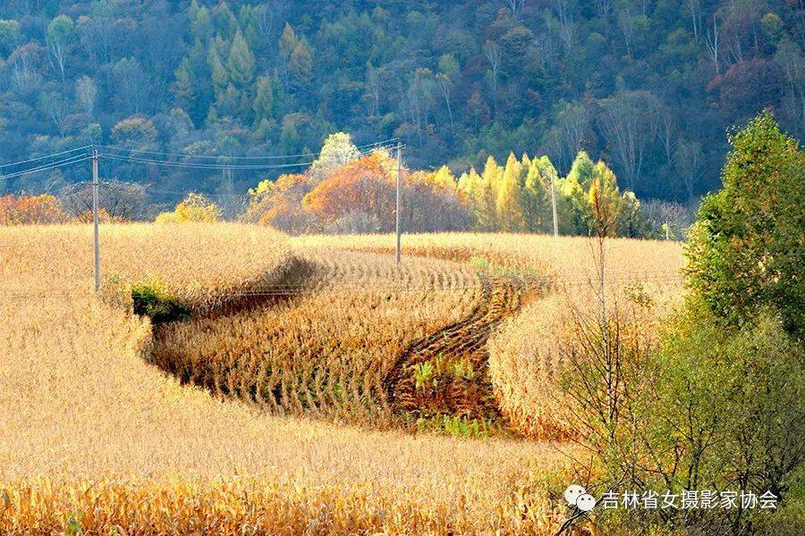 吉林风光 |情系火绒沟之二十五：深秋山中行