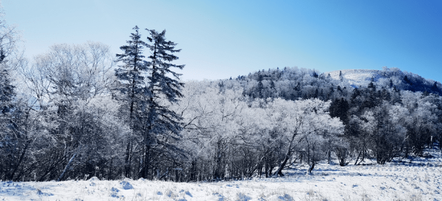 亚雪公路迎来入秋最大降雪 冰雪画廊美如画