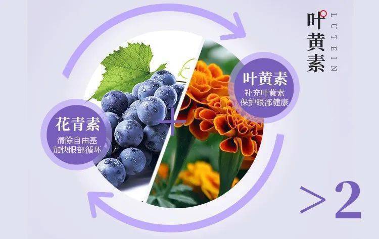 补充叶黄素可以改善眼睛视力吗？