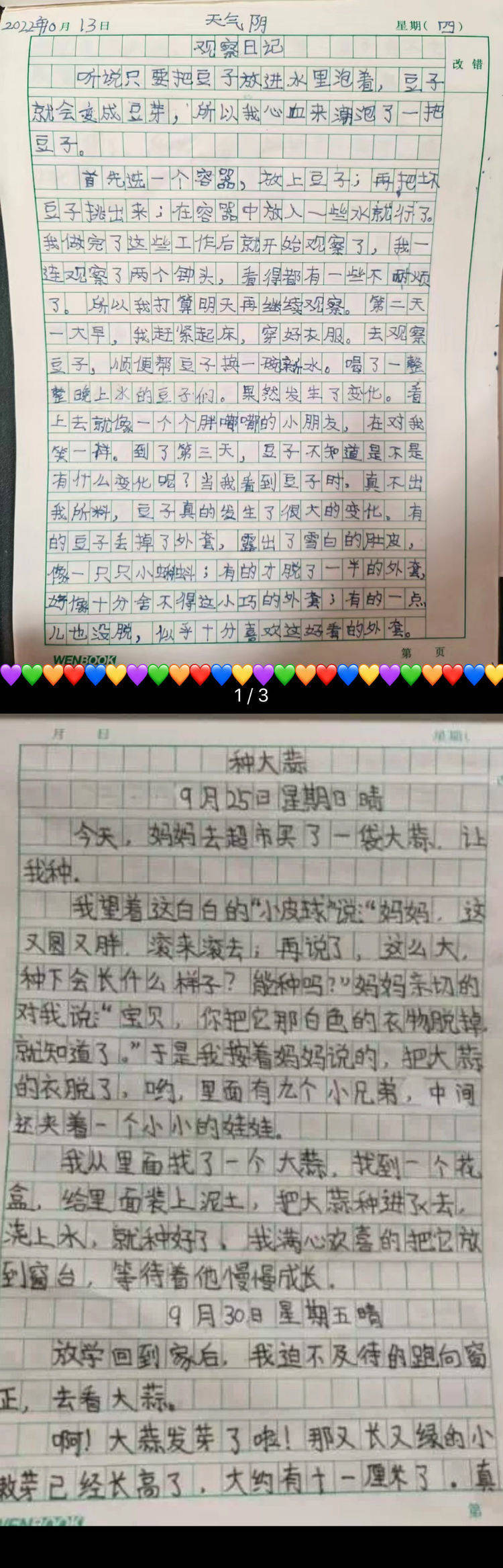 “双减”提质有方法 观察日记趣味多 浐灞第十二小学四年级语文组实践作业
