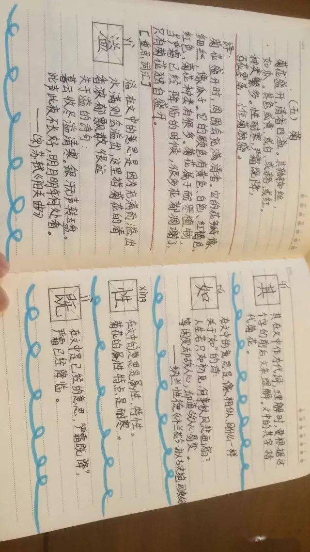 【小学生必读小古文100篇】第六篇：《雨》