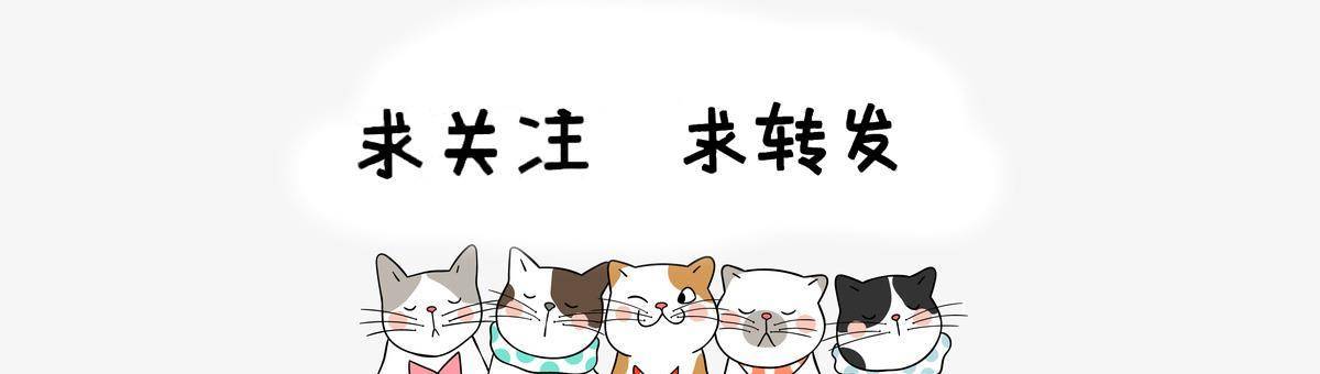 成都借卵机构（原创
            奥运冠军退休金5000，却给武汉捐7000万！婆婆爆料38岁的她拼4胎）