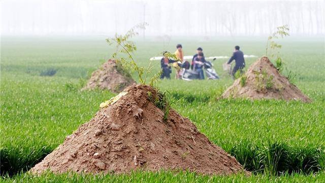 女人梦见坟头尖上放块红布,深层次的心理解析与象征意义 女人梦见坟头尖上放块红布,深层次的心理解析与象征意义