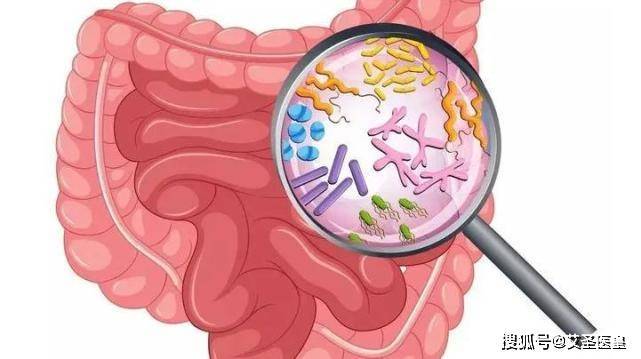 肠道是人体最大的免疫器官！肠道不适反反复复，竟然这样就被轻松解决了