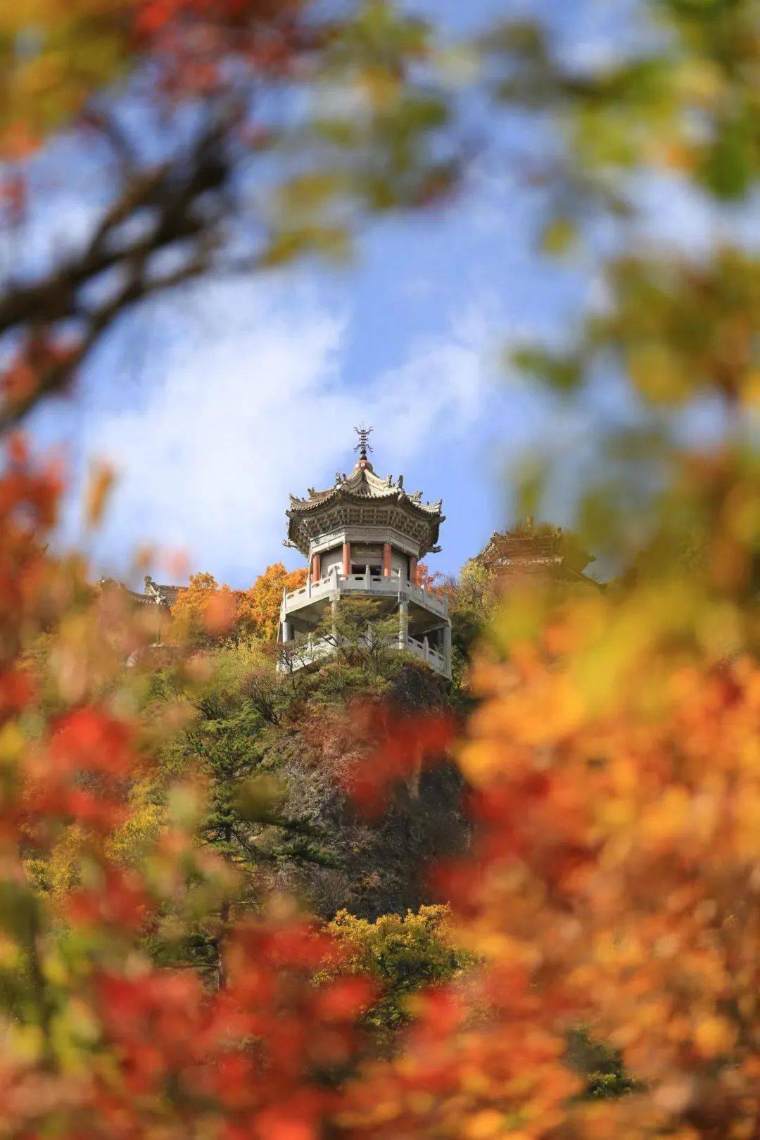 趁冬天还没来，先把崆峒山的秋天看个够吧！