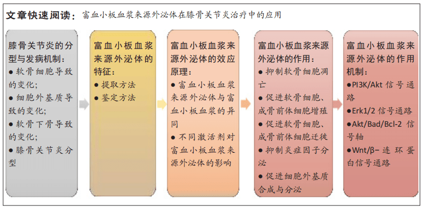 富血小板血浆来源外泌体治疗膝骨关节炎的机制与作用_细胞_是一种