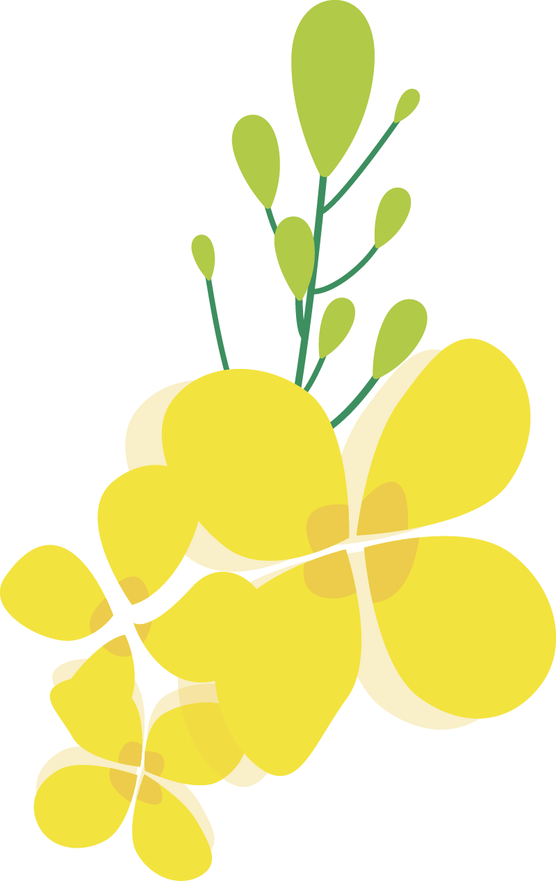 【安徽宣城】皖南小川藏线、水墨汀溪、黄田古村自驾2日游 【安徽宣城】皖南小川藏线、水墨汀溪、黄田古村自驾2日游