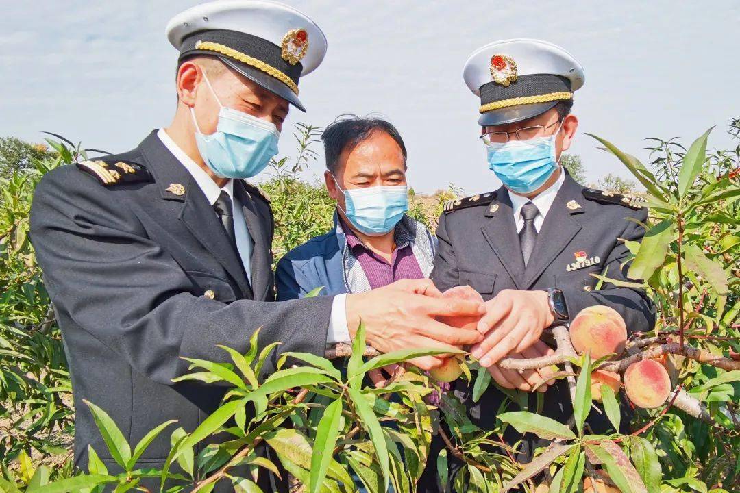 潍坊海关助推“小”水果远销海外“大”市场泛亚电竞app下载 泛亚电竞(图7)