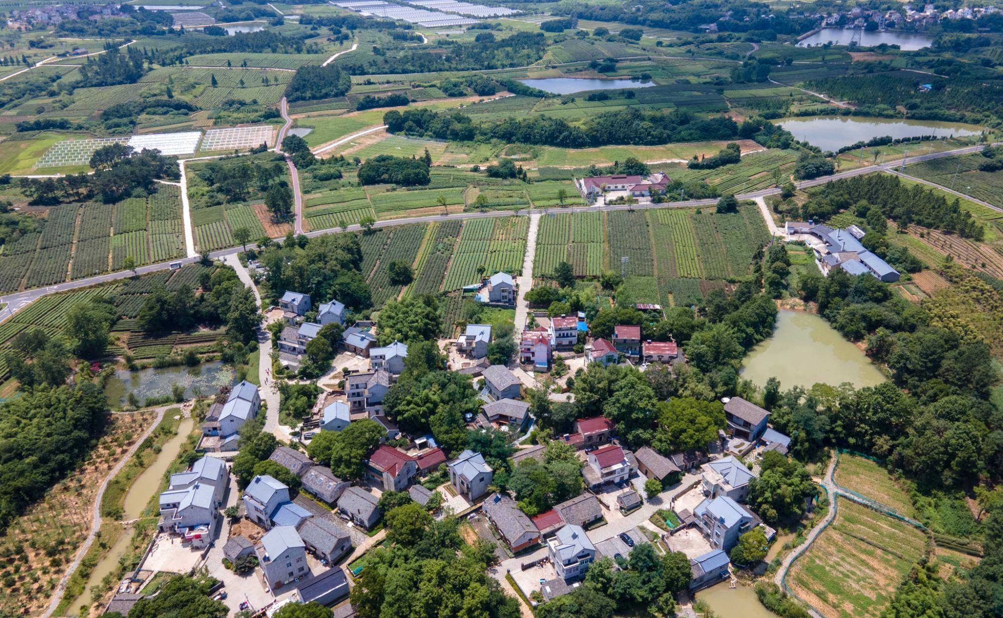 南京被忽略的美丽乡村,藏在"国际慢城"中,景色宛若