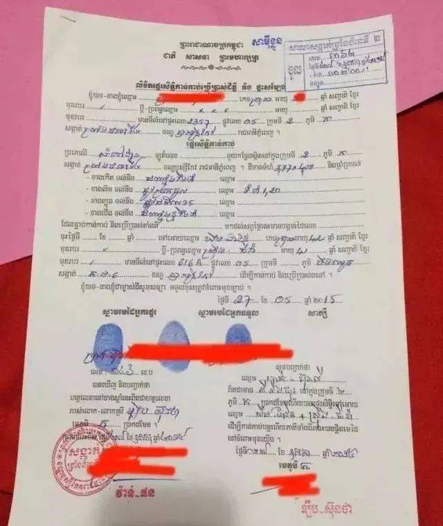 熊猫出海丨中国企业在柬埔寨持有土地的方式及风险解读