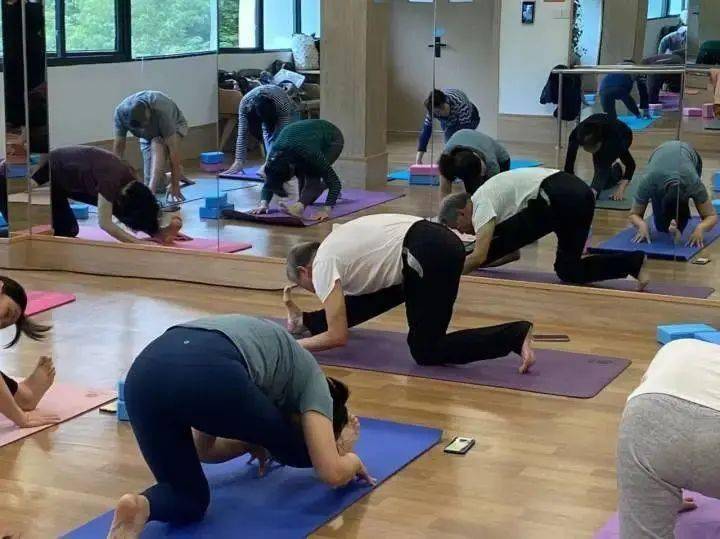 杭州78岁“瑜伽爷爷”冲上热搜 如今​状态好米乐M6 M6米乐到让人羡慕(图3)