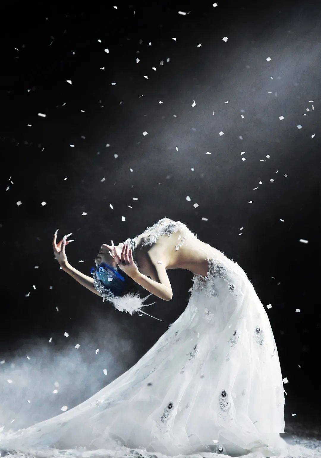 梦境奇遇,孔雀之舞与迷魂之谜 梦境奇遇,孔雀之舞与迷魂之谜