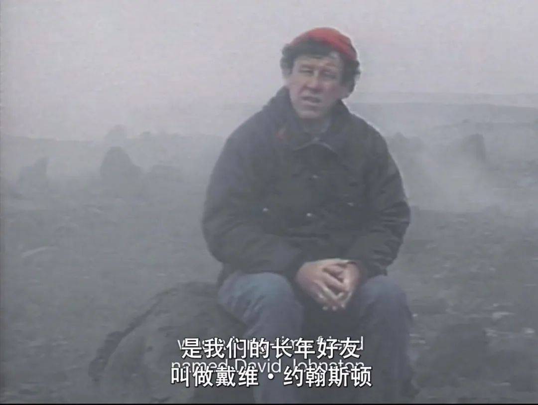 ���Ʊ����ߵļ�¼Ƭ����������CP�컨��