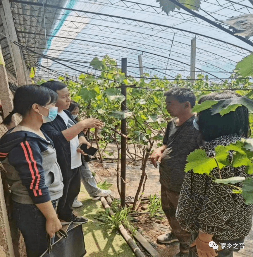 李丽萍 聂村引进电子加工厂 村民就业兼顾家！半岛·综合体育官方网站！！(图1)